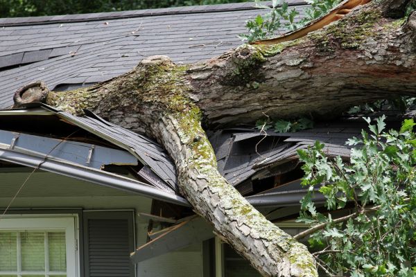 Storm Remediation in Stone Mountain