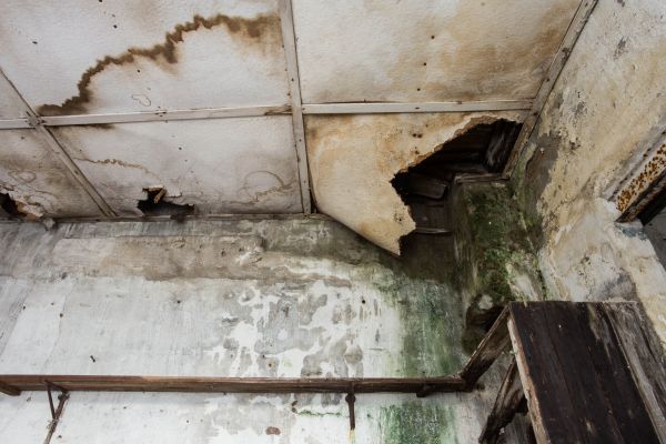 Water Damage Service in Stone Mountain