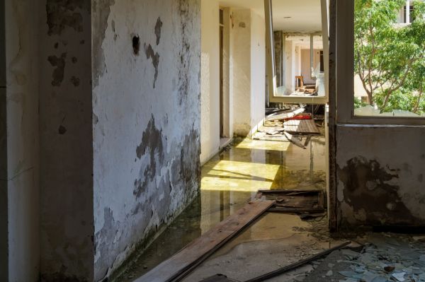 Water Removal Service in Stone Mountain